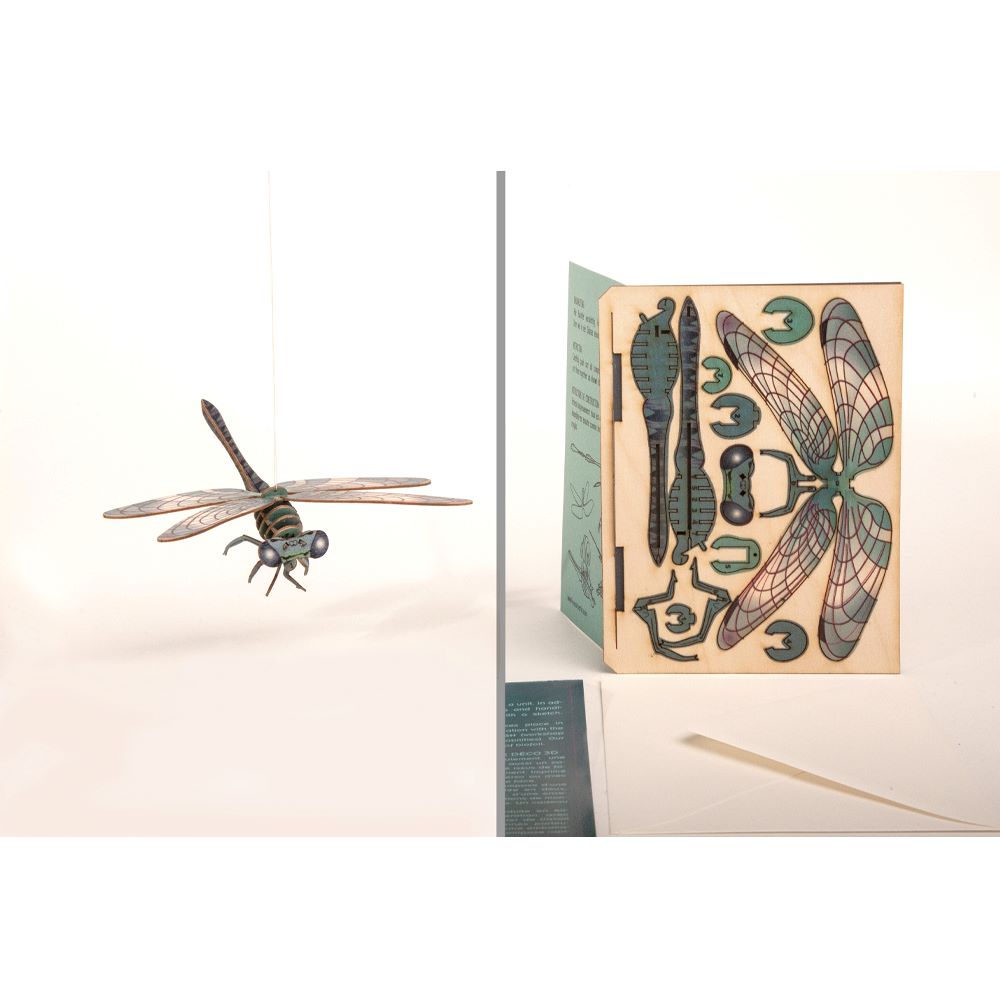 Carte de Vœux Déco 3D Libellule formes Berlin