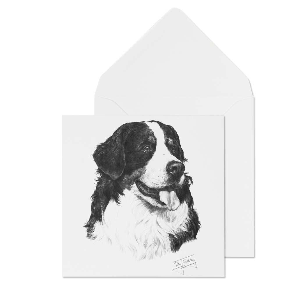 Carte de Vœux Mike Sibley Bouvier Bernois C&S Products