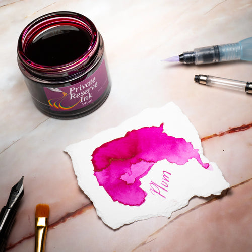 12 Cartouches pour Stylo-Plume Plum Private Reserve Ink