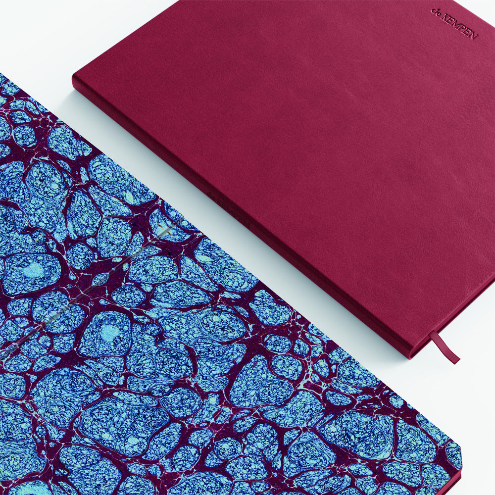 Carnet Poche Ligné Amarone de KEMPEN