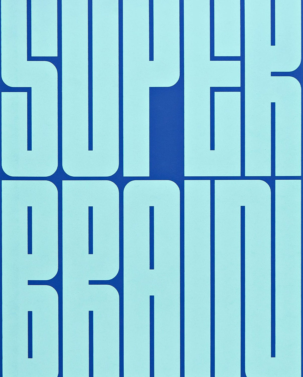 Carnet Graphic L Super Brain Nuuna