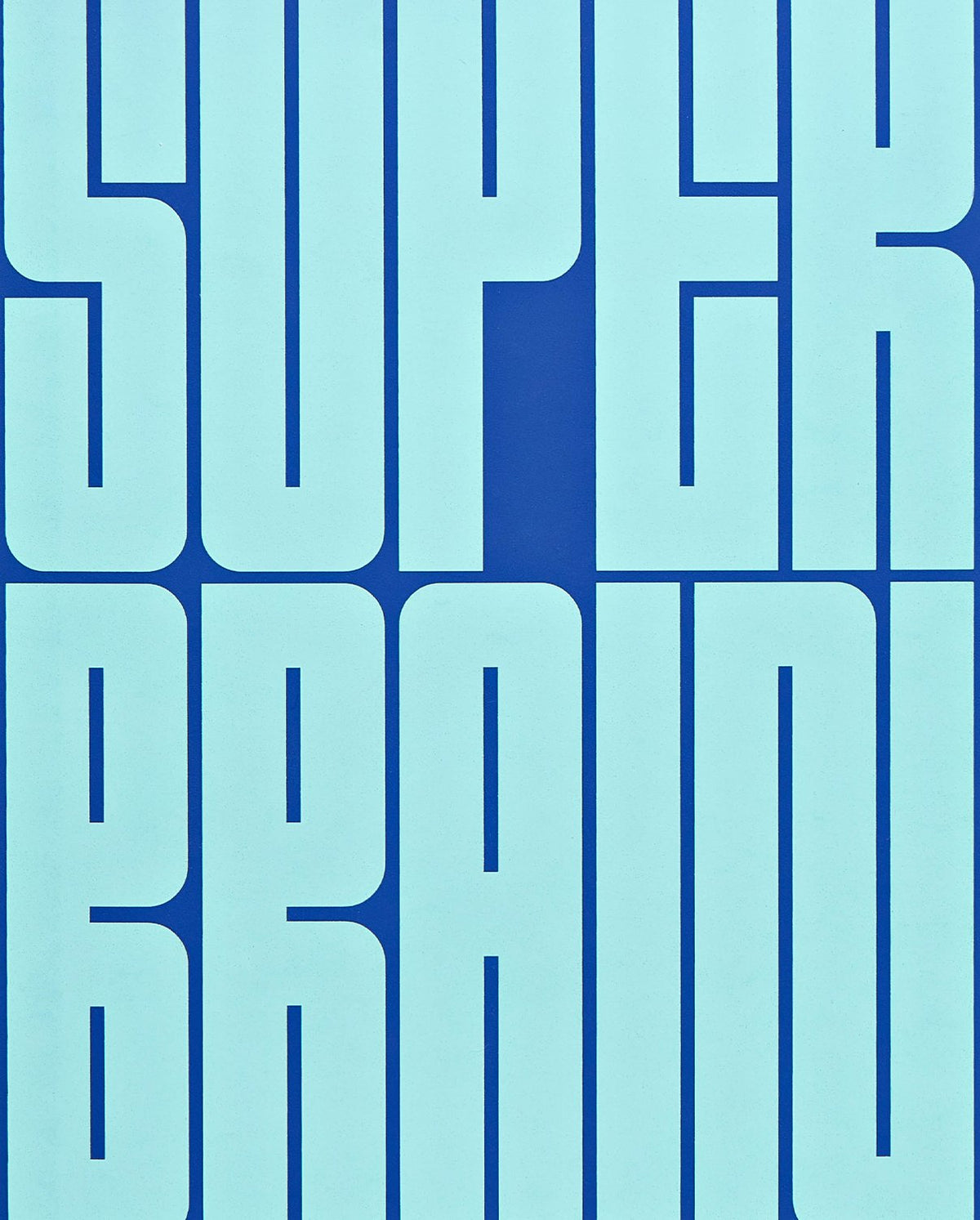 Carnet Graphic L Super Brain Nuuna