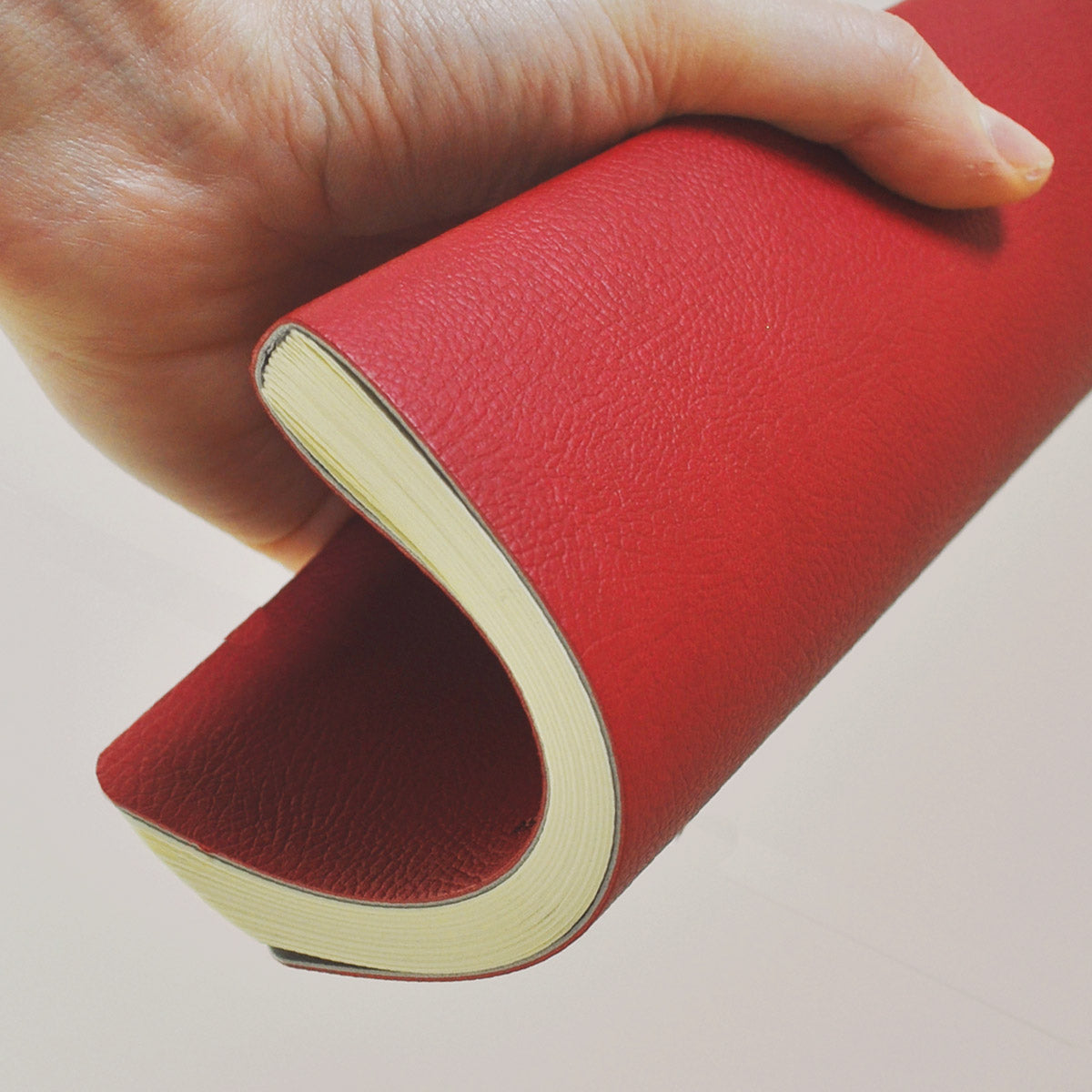 Carnet Souple à Pointillés Mate 12x17 Rouge Ciak