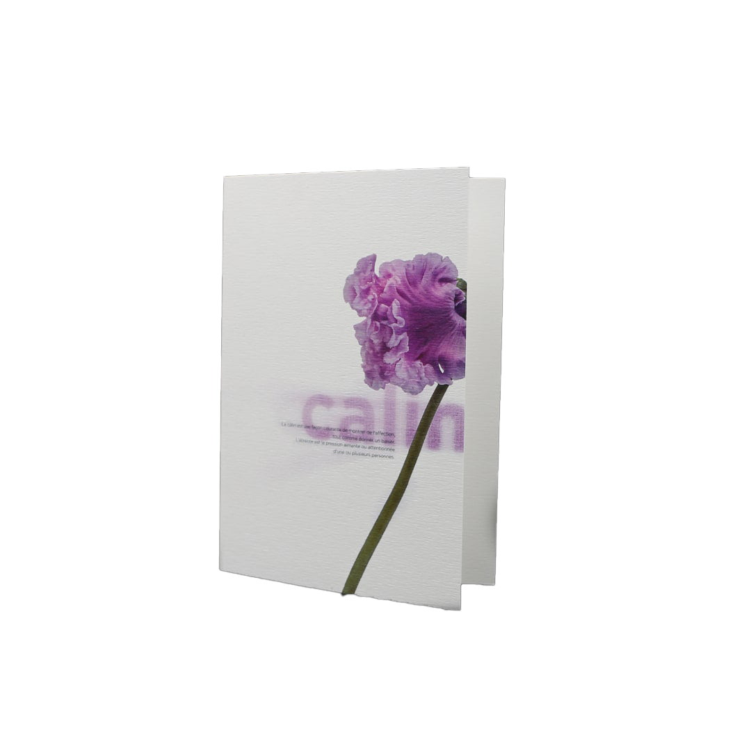 Carte Double Fleur au Mot Câlin Éditions MaT