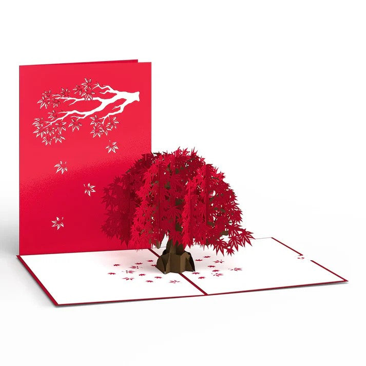Carte Pop-Up Érable Japonais Lovepop