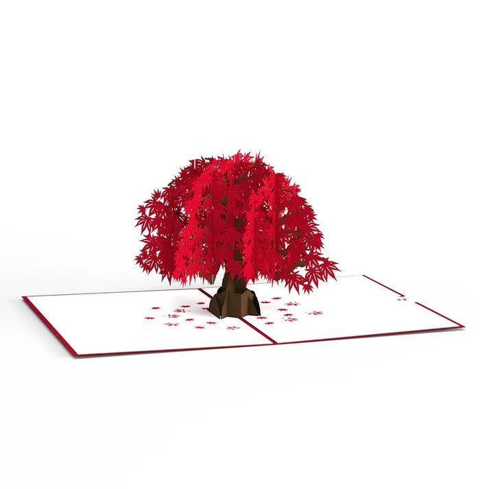 Carte Pop-Up Érable Japonais Lovepop