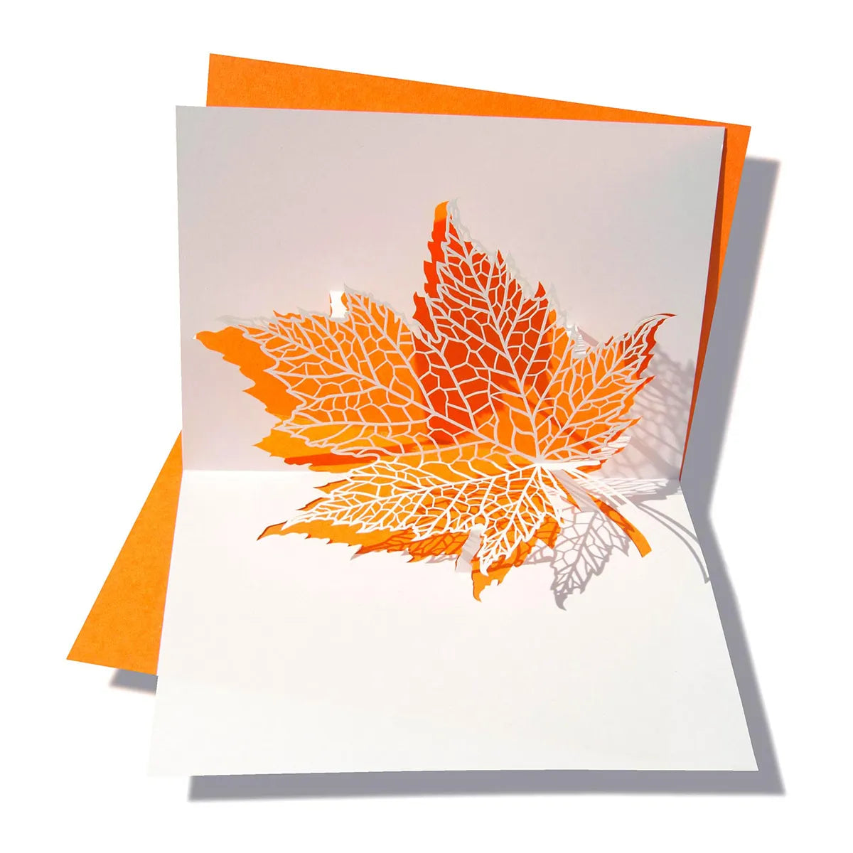 Carte Pop-Up Feuille Orange Rifletto