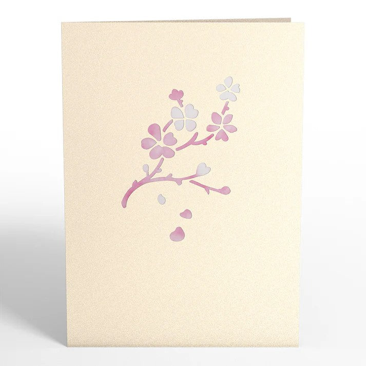 Carte Pop-Up Fleur de Cerisier Lovepop