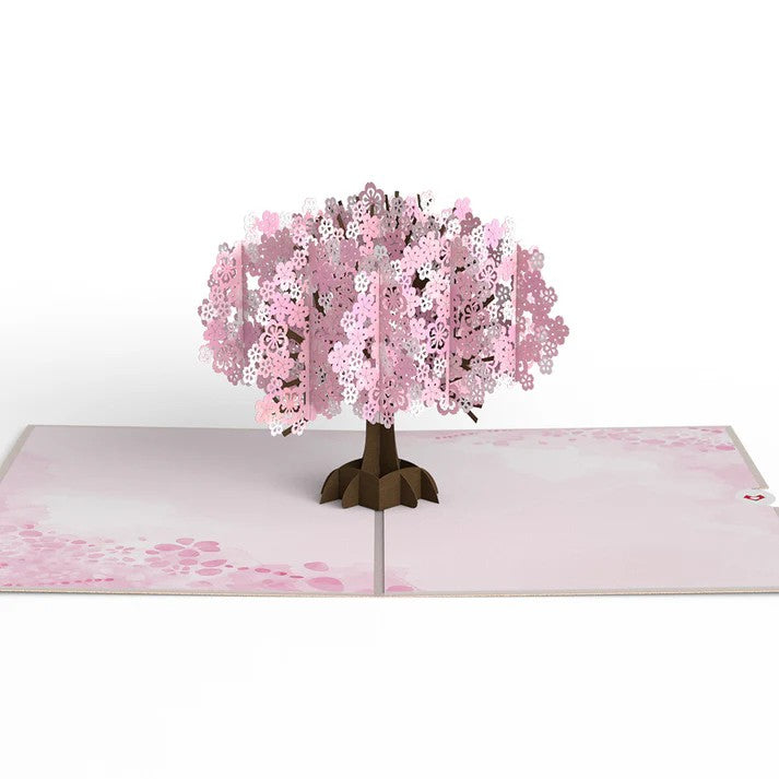 Carte Pop-Up Fleur de Cerisier Lovepop