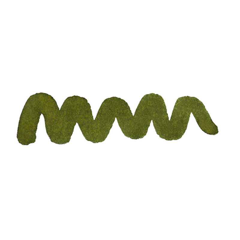 Encre pour Stylos-Plume Evergreen 80ml Diamine