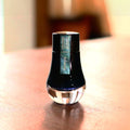 Encre Pearl Atlantis 25ml Dominant Industry