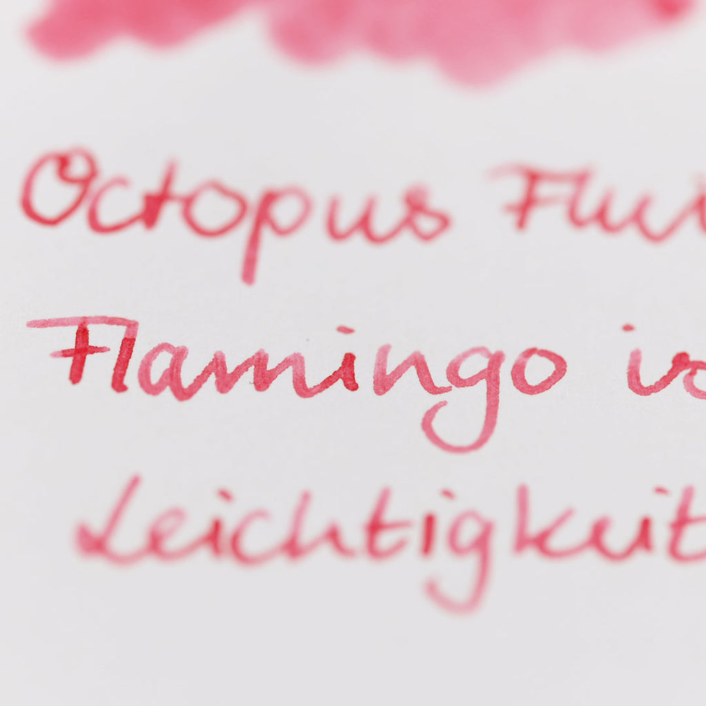 Encre pour Stylo Plume Flamingo 30ml Octopus