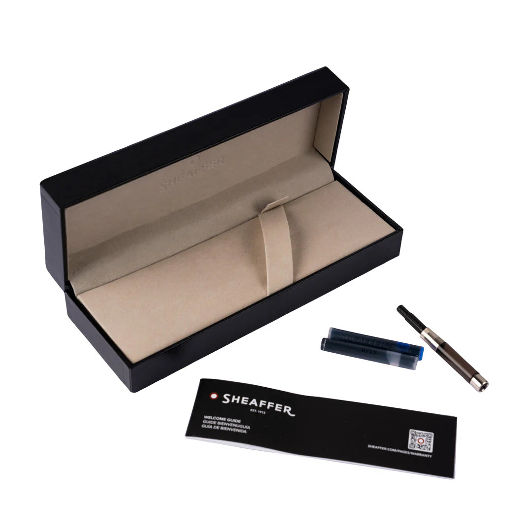 Stylo Plume 300 Gris Mat M Sheaffer