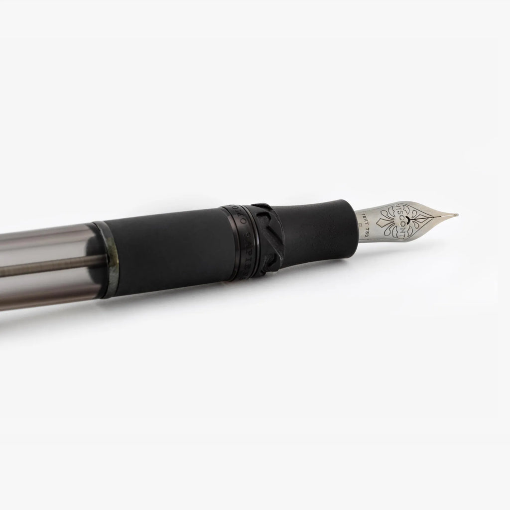 Stylo-Plume Homo Sapiens Dark Crystal Noir Visconti