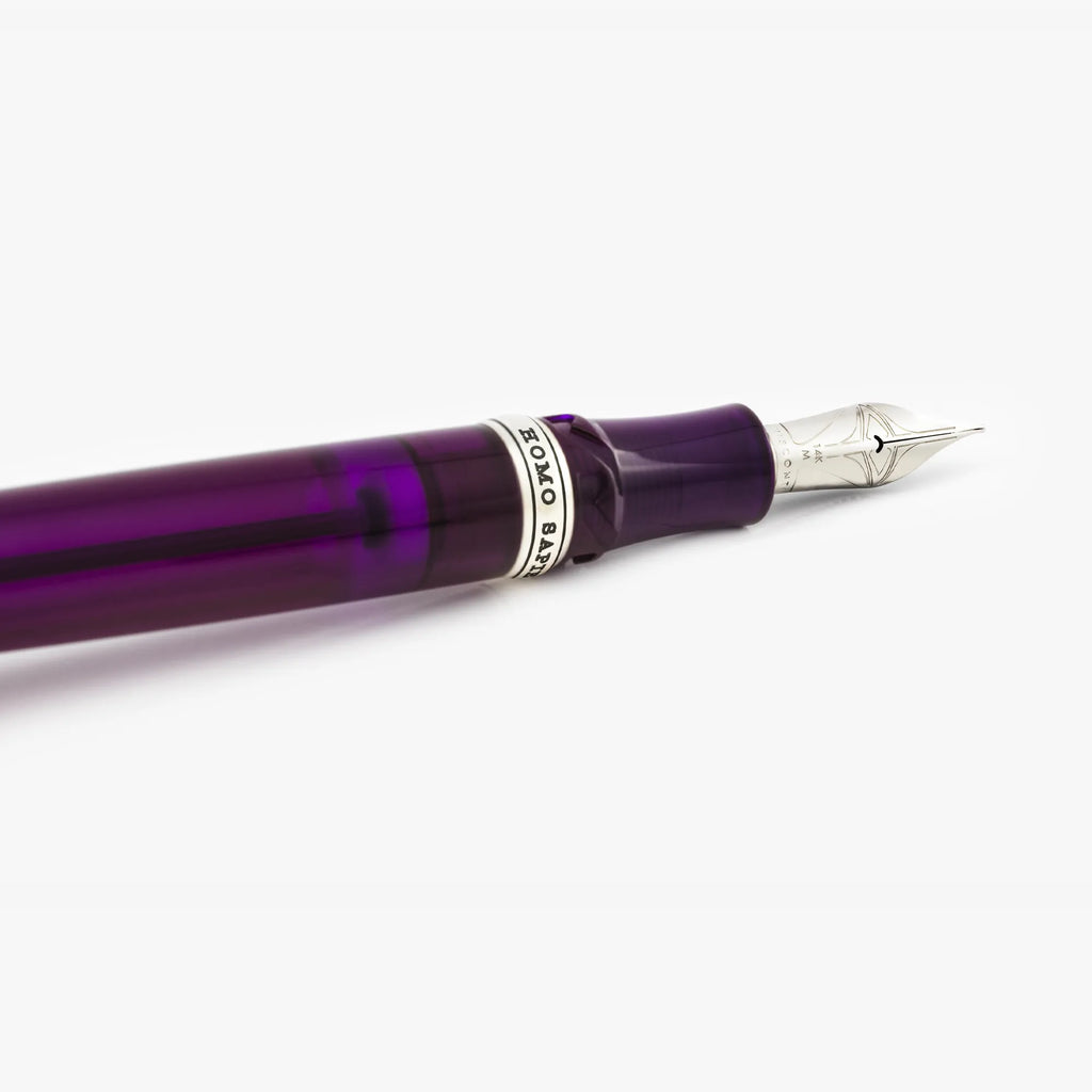 Stylo-Plume Homo Sapiens Demo Stones Améthyste Visconti