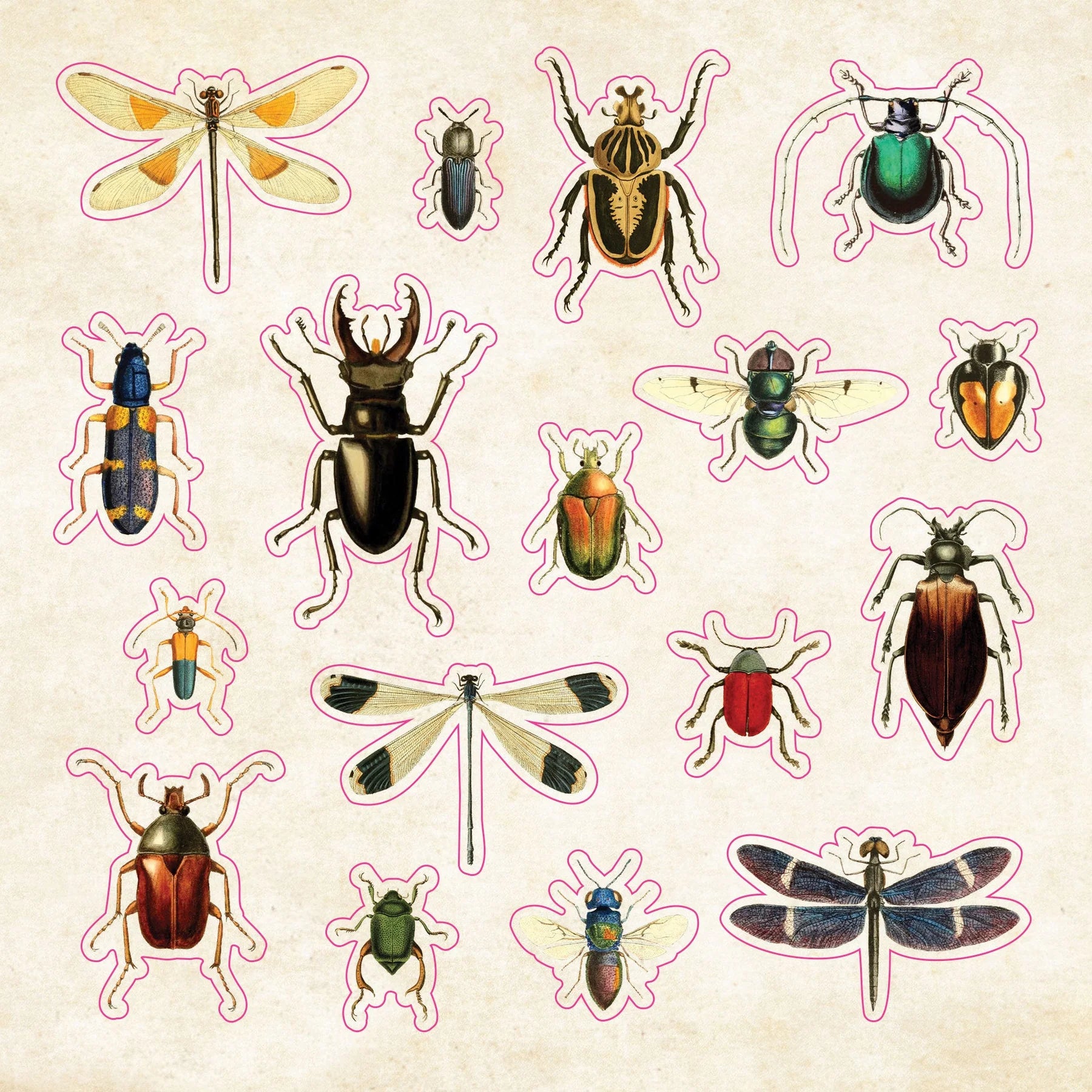 The Sticker Book of Curiosities Peter Pauper Press