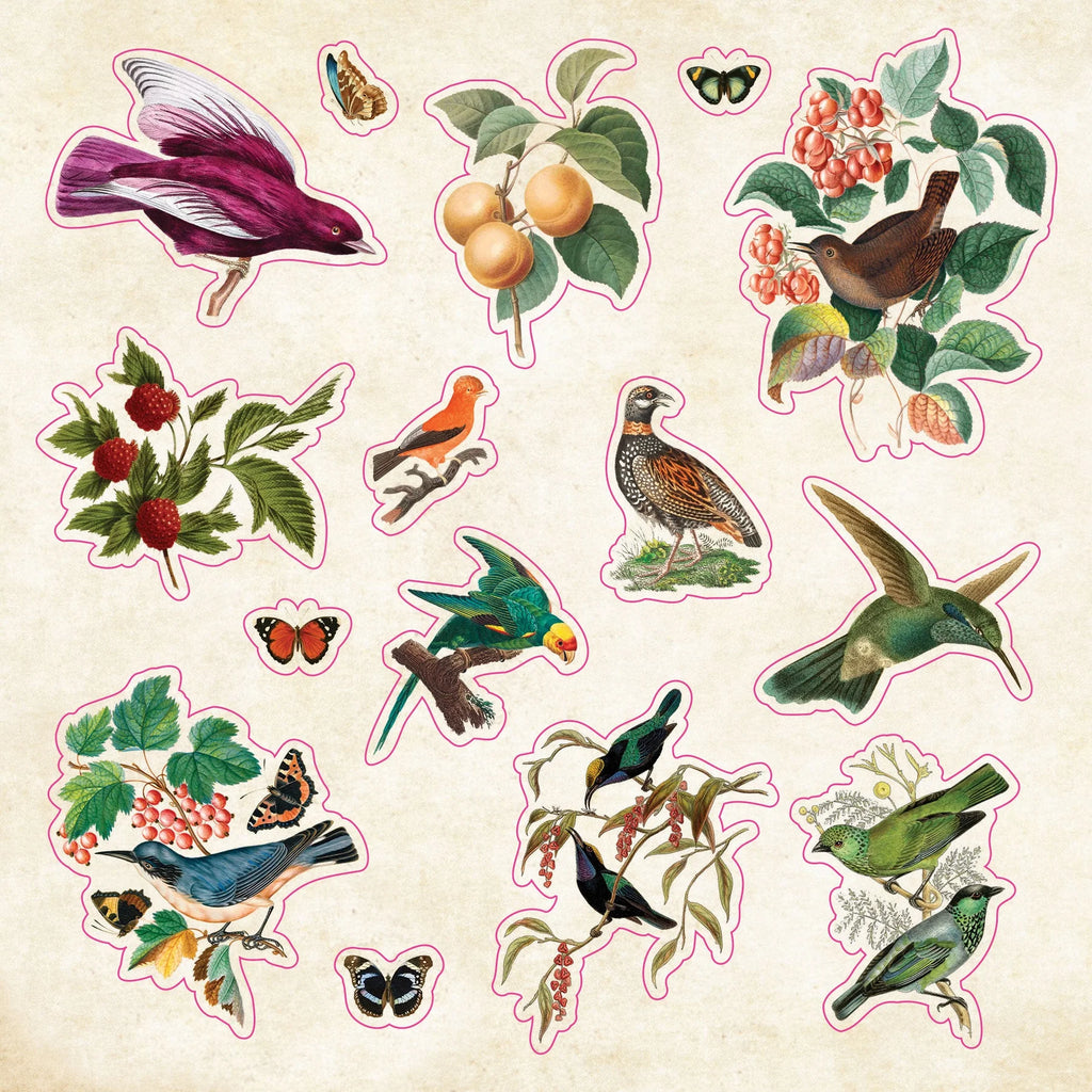 The Sticker Book of Curiosities Peter Pauper Press