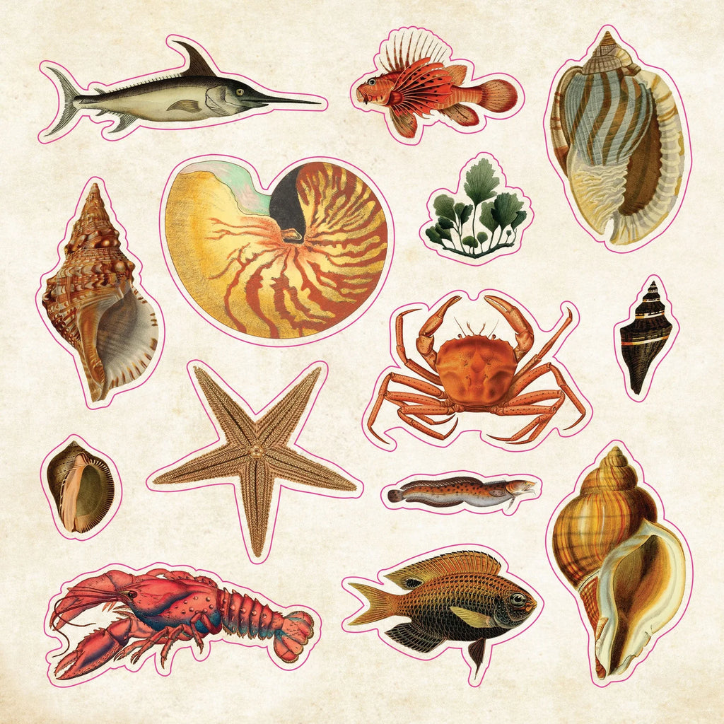 The Sticker Book of Curiosities Peter Pauper Press