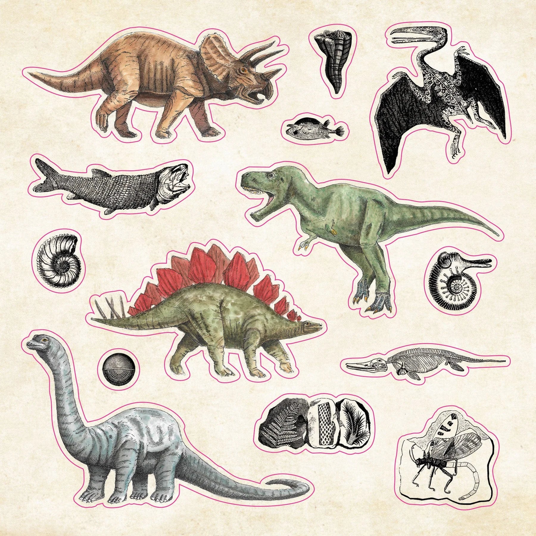 The Sticker Book of Curiosities Peter Pauper Press