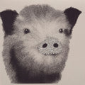 Carte de Voeux Porcelet English Graphics