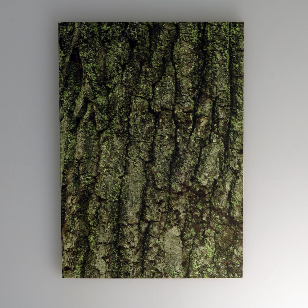 Cahier Tale Oriental White Oak