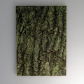 Cahier Tale Oriental White Oak