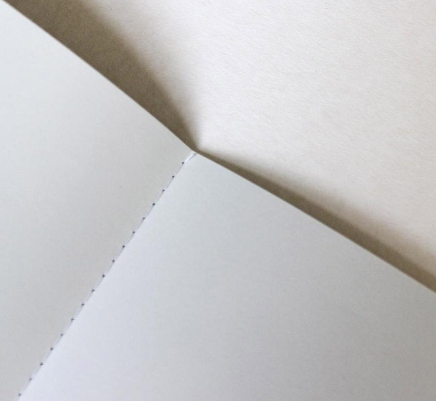 Pack de 3 Cahiers Souples A6 Végétal Le Typographe