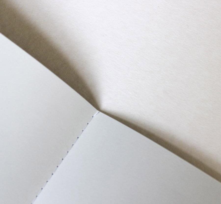 Pack de 2 Cahiers Souples A5+ Végétal Le Typographe